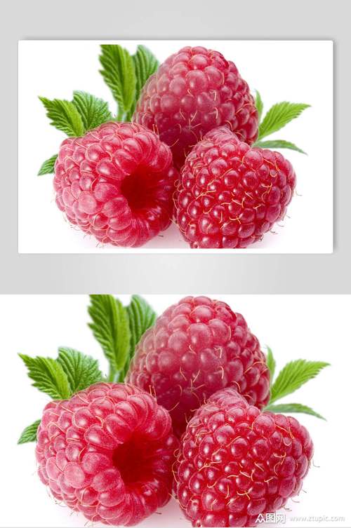 新鲜红色树莓水果摄影图片素材