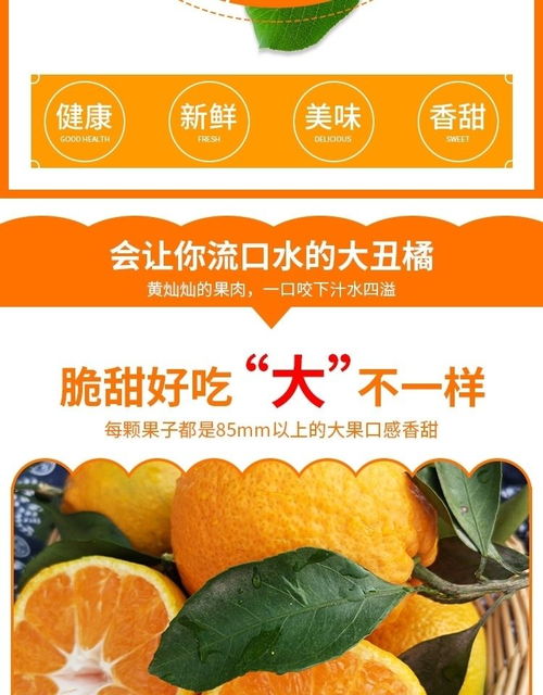 现摘四川丑桔应当季新鲜水果2 5 10斤耙耙丑桔橘柑子