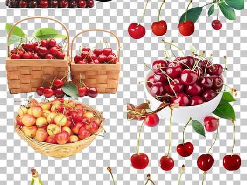 65款新鲜水果红色樱桃免抠素材图片 模板下载 399.64MB 效果大全 其他