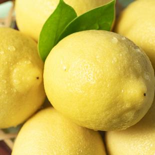 > 产品展示 > 甘鲜森安岳黄柠檬当季新鲜水果5.